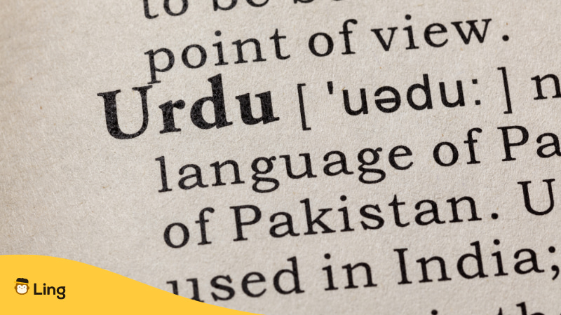 Pakistani Punjabi Urdu Language Of State