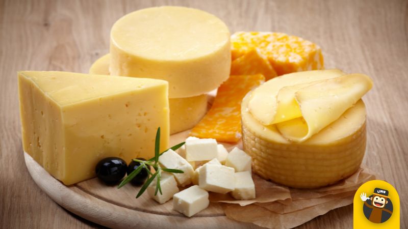 Traditional Dutch Food Cheese