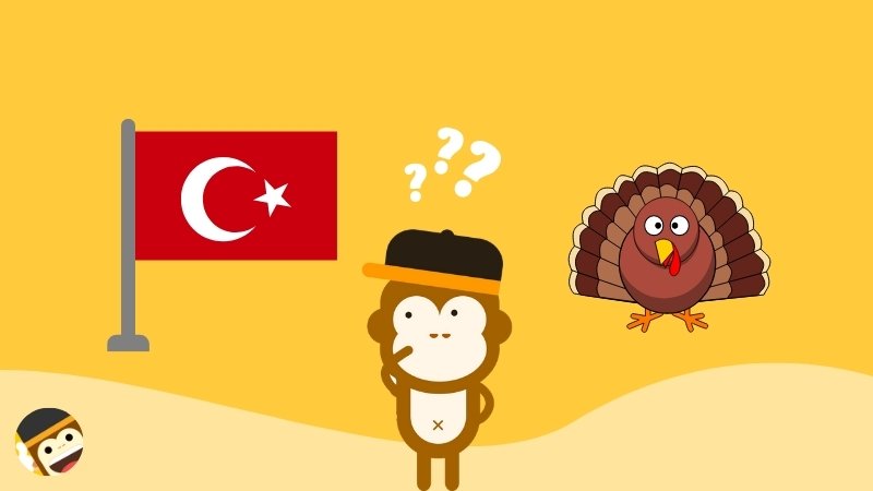 turkey flag vs turkey animal