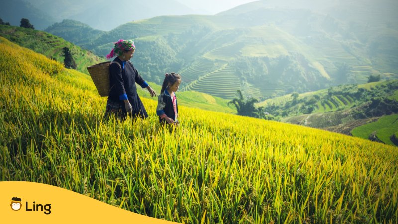 lao people in rice fields - names in lao / lao names girl