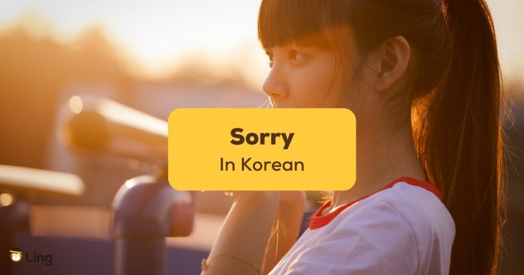 how to say sorry in korean apologize in korean
