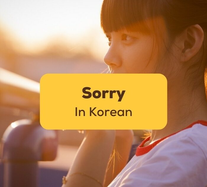 how to say sorry in korean apologize in korean