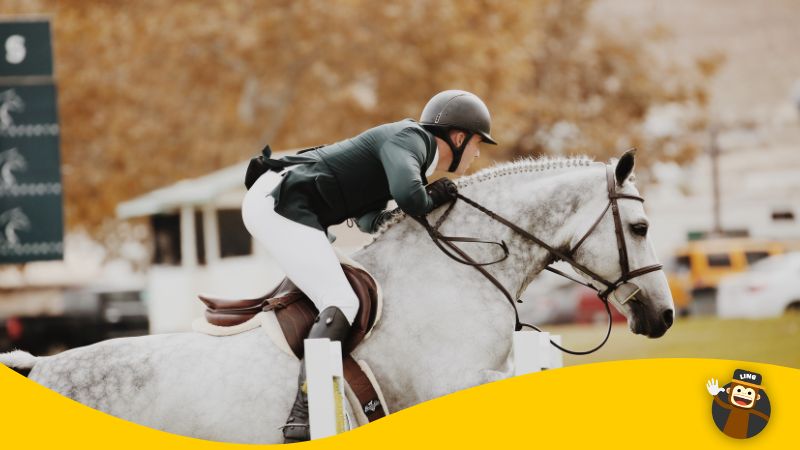 French sports vocabulary horse riding