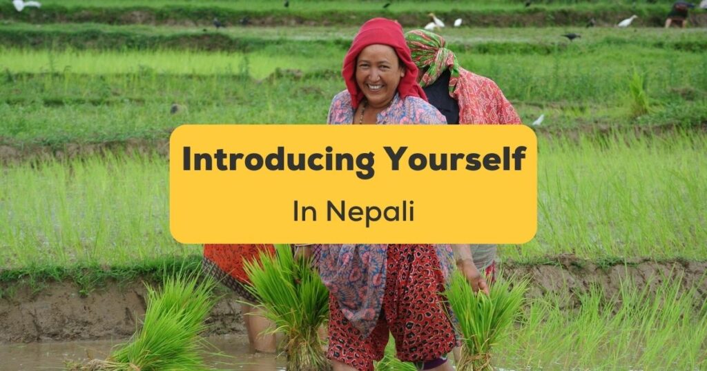 presentation meaning in nepali