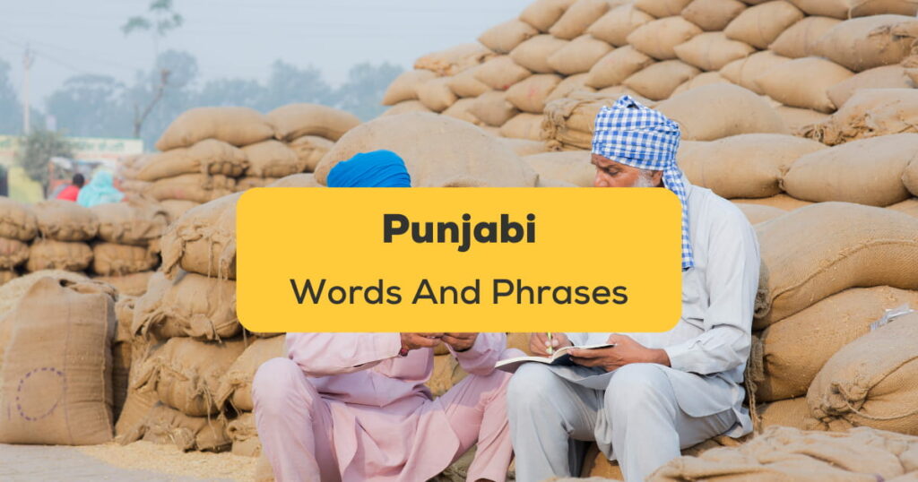 formal visit meaning in punjabi