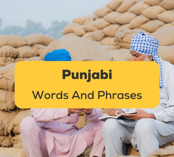 Punjabi words and phrases