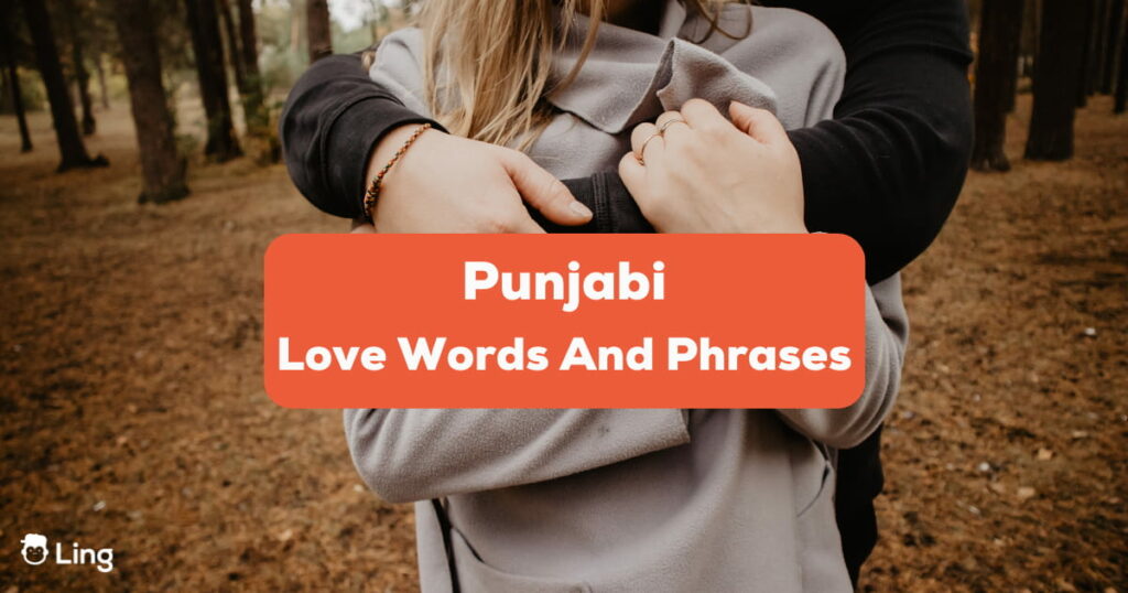Punjabi love words and phrases