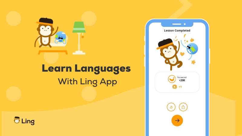 Studycat Review by Ling app