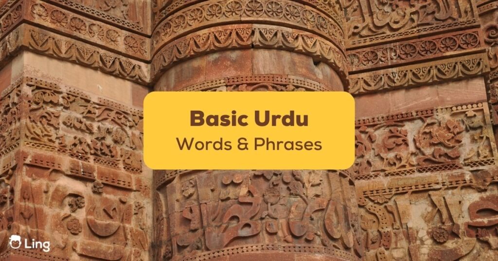 basic urdu words and phrases