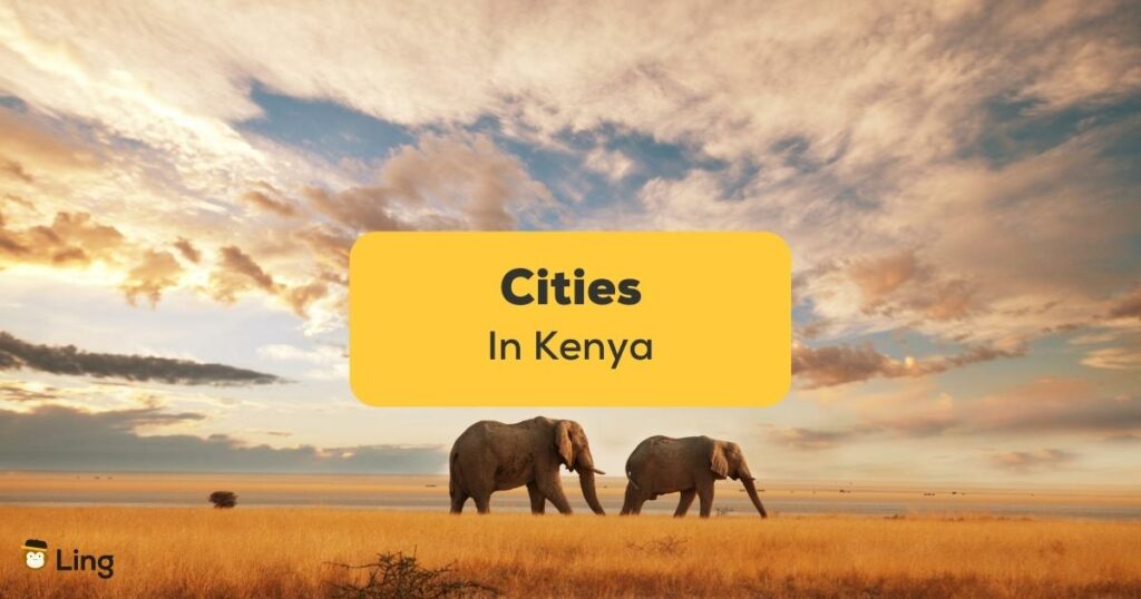 cities in kenya-Ling-App