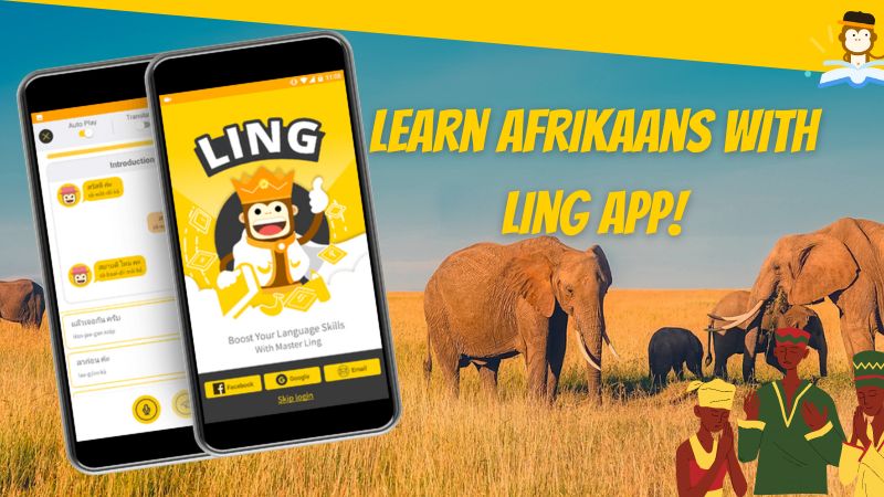 learn afrikaans with ling app