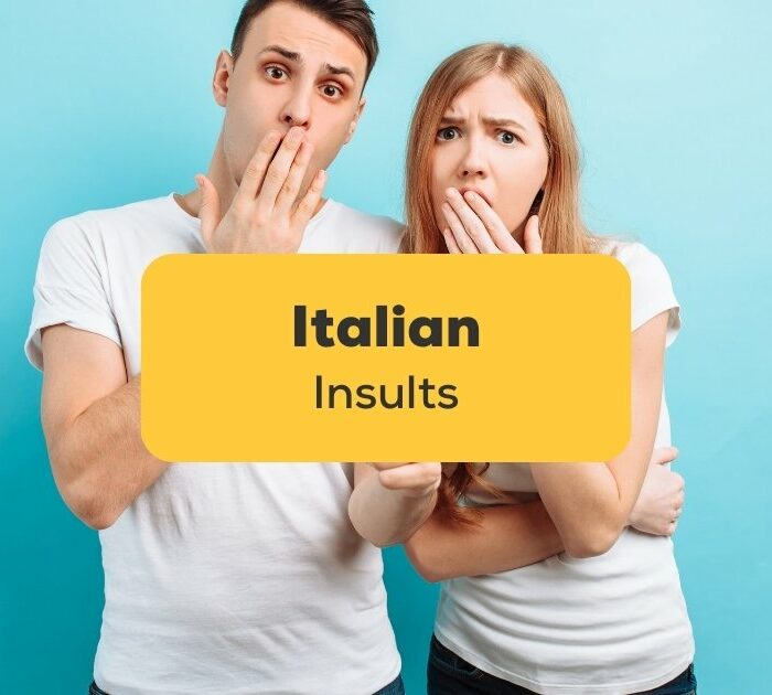 italian insults phrases and words
