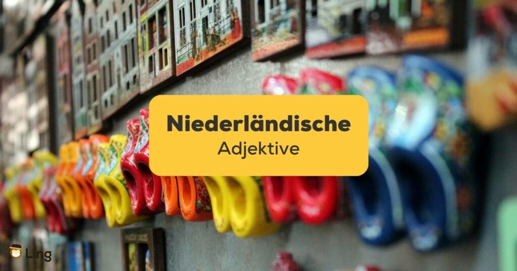 Lerne mit der Ling-App mehr über niederländische Adjektive und die Kultur der Niederländer