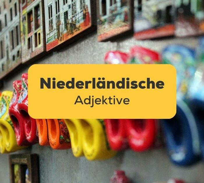 Lerne mit der Ling-App mehr über niederländische Adjektive und die Kultur der Niederländer