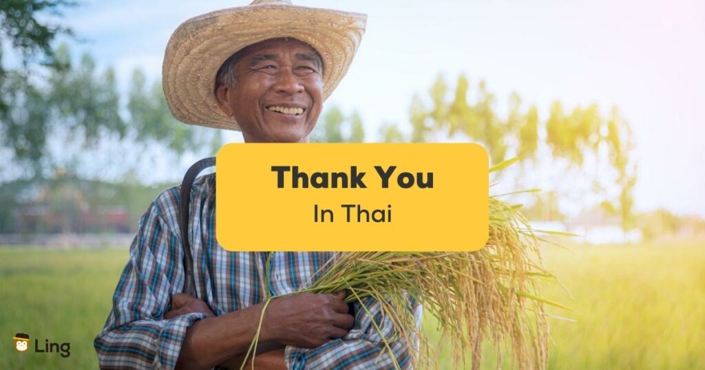 thank you in thai-ling app