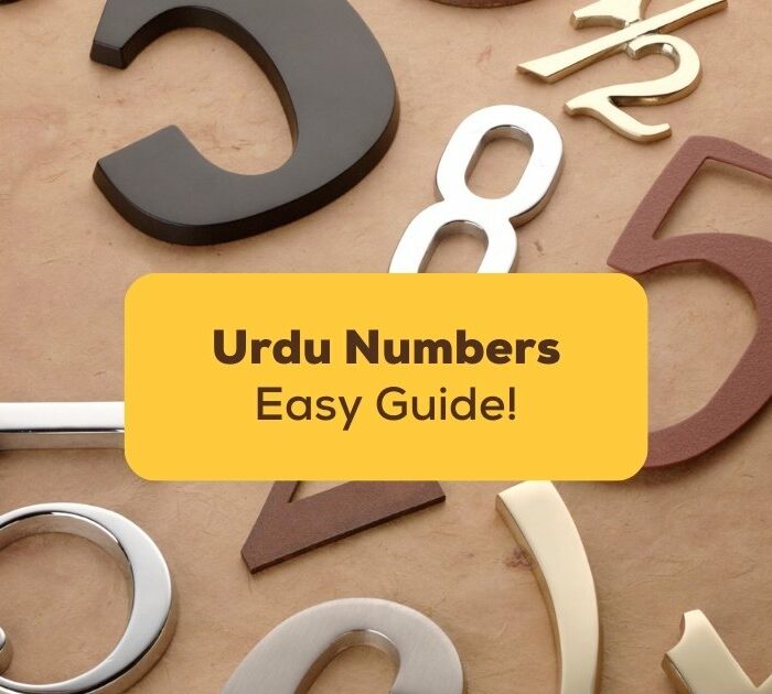 urdu numbers easy guide to learn how to count in urdu