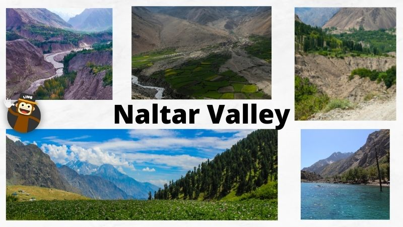 Naltar Valley Pakistan موسم سرما