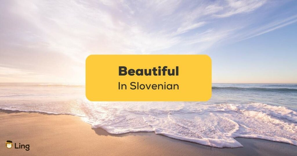 Beautiful-In-Slovenian-Ling-App