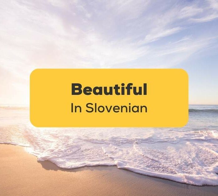 Beautiful-In-Slovenian-Ling-App