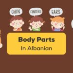 Body Parts In Albanian