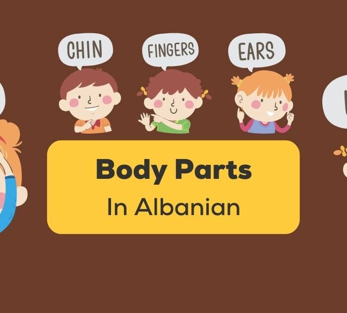 Body Parts In Albanian