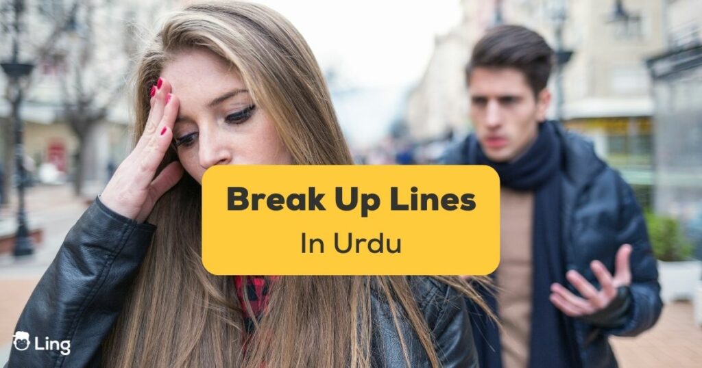 Break Up Lines in Urdu Ling App