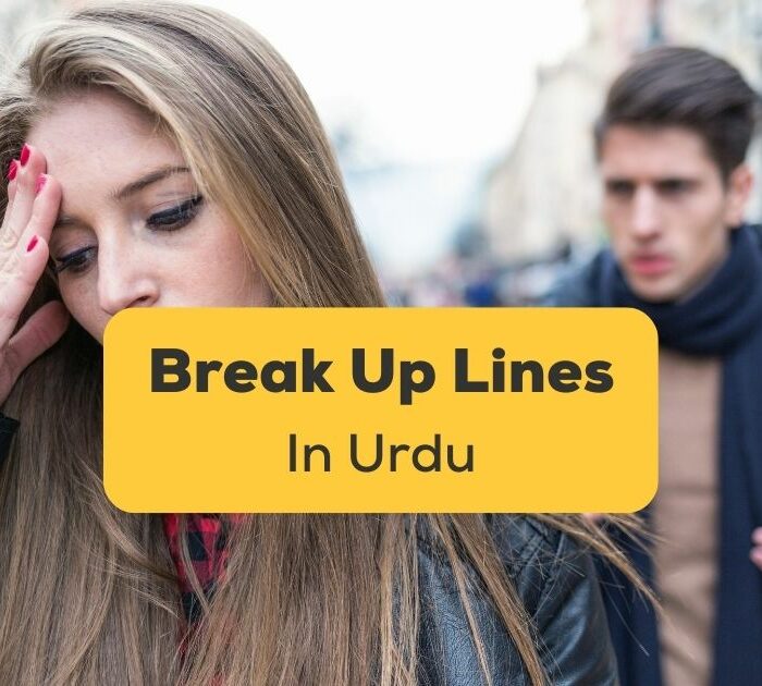Break Up Lines in Urdu Ling App