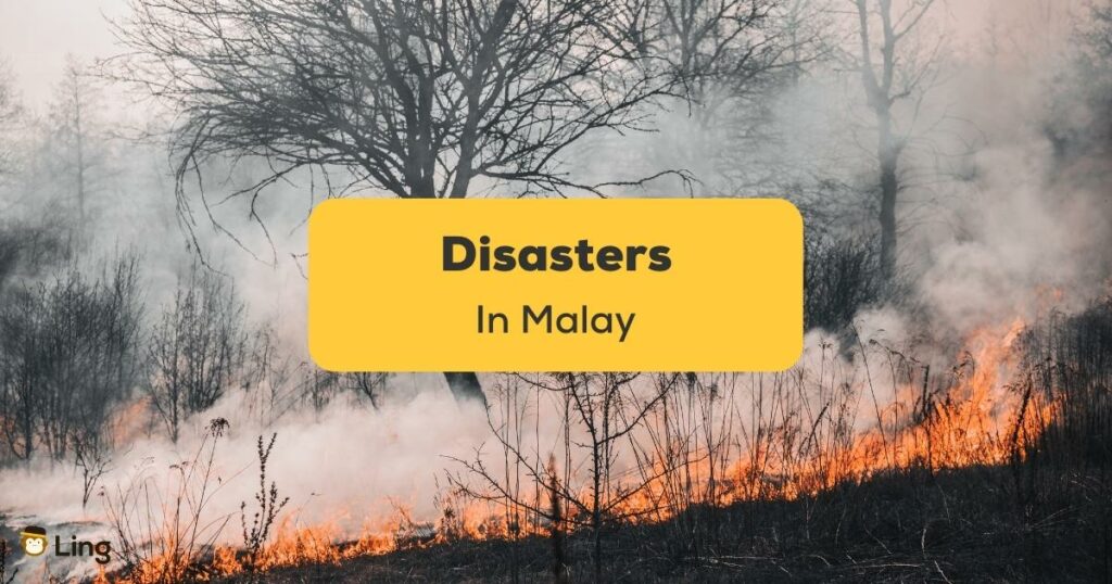 Disasters In Malay ling app