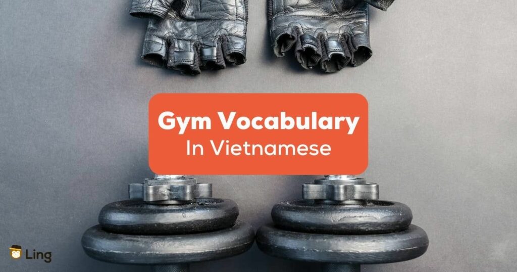 gym vocabulary in Vietnamese