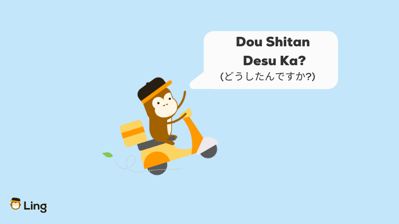How Are You In Japanese Dou Shitan Desu Ka
