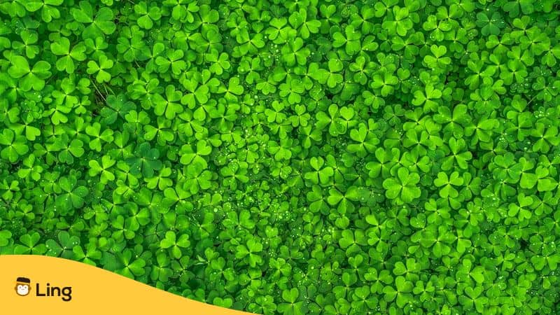 Irish phrases for st Patrick's Day-ling app