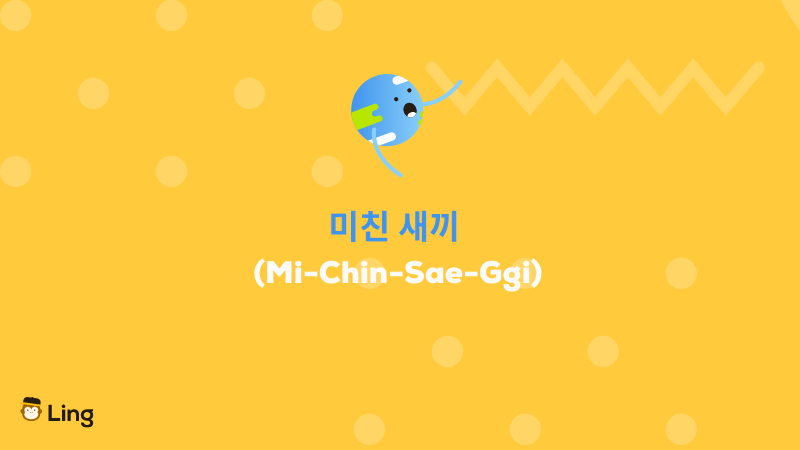 Korean Swear Words michin saeggi