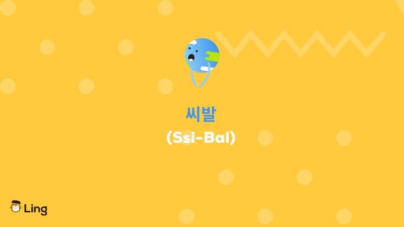 Korean Swear Words ssibal