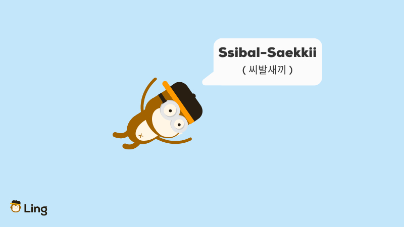 Korean Swear Words ssibalsaekki