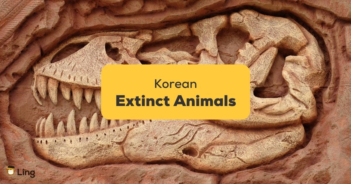 Korean Extinct Animals: Tragic Loss Of Korean Tiger
