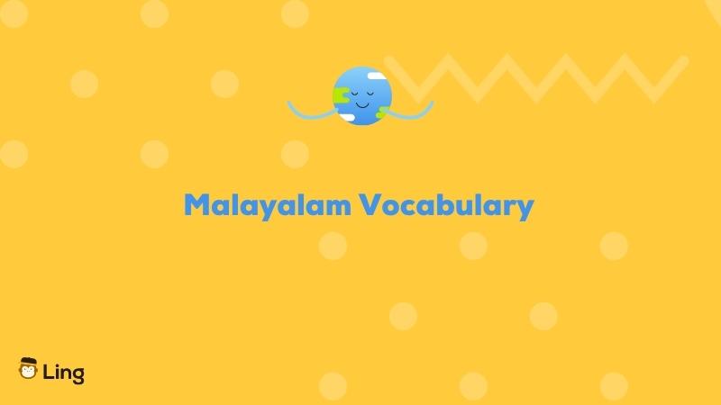 Malayalam-Words-And-Phrases-Ling-App-words-vocabulary-2