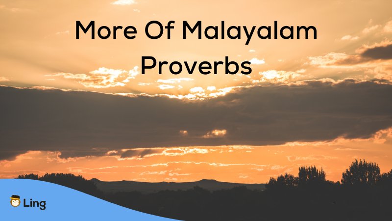 Malayalam Proverbs - Malayalam phrases