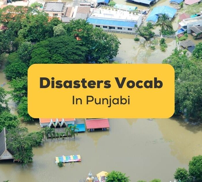 Punjabi Disasters Vocabulary Ling App Flood