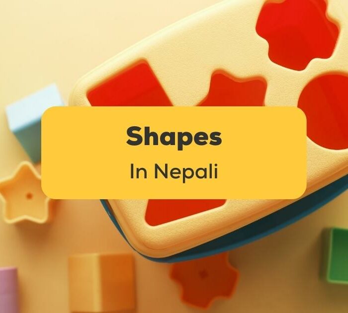 Shapes In Nepali ling app