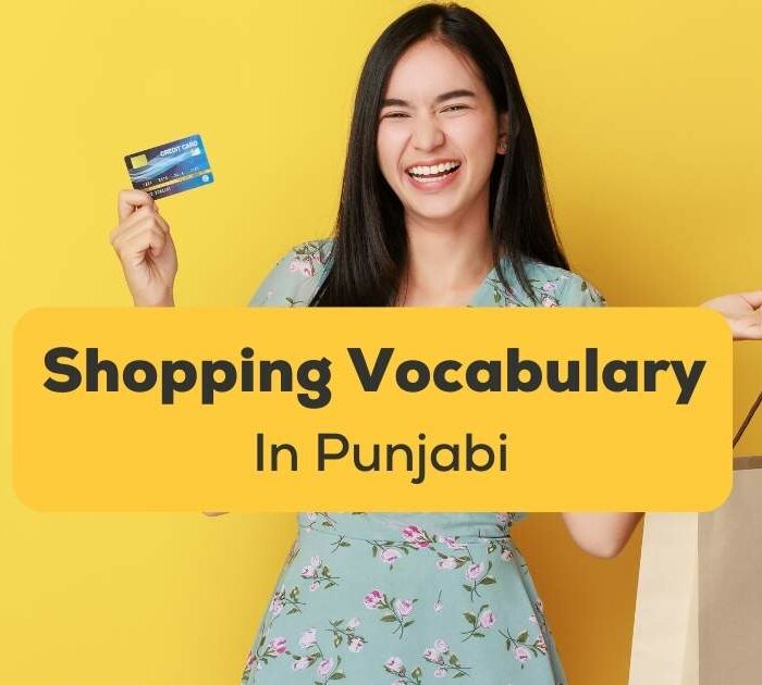 Shopping Vocabulary In Punjabi Ling App Featured Image
