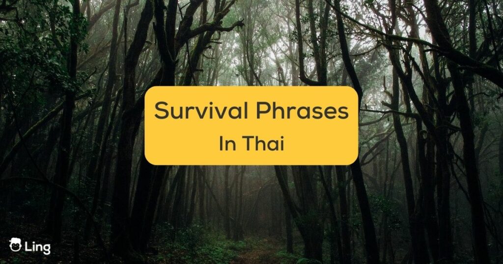 survival phrases in Thai