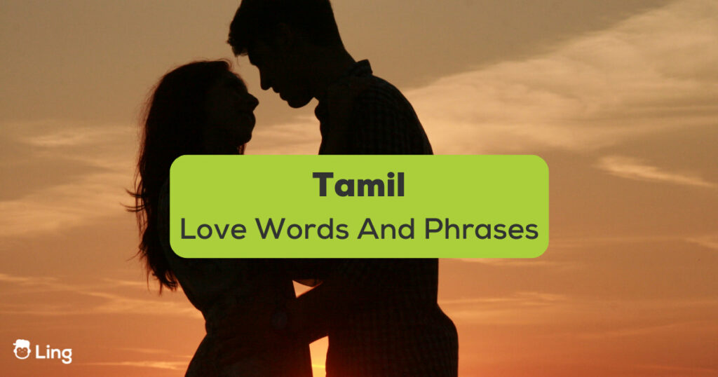 Really Appreciate Meaning In Tamil