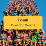 Tamil Question Words-ling-app