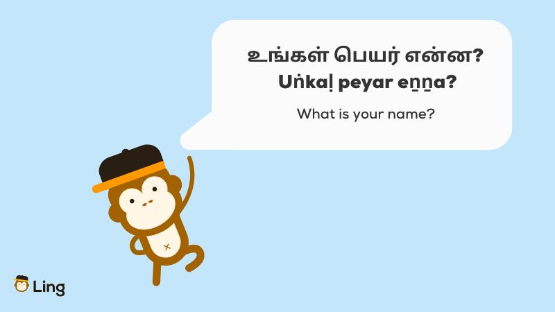 Tamil Question Words_Ling app_what is your name_learn ling