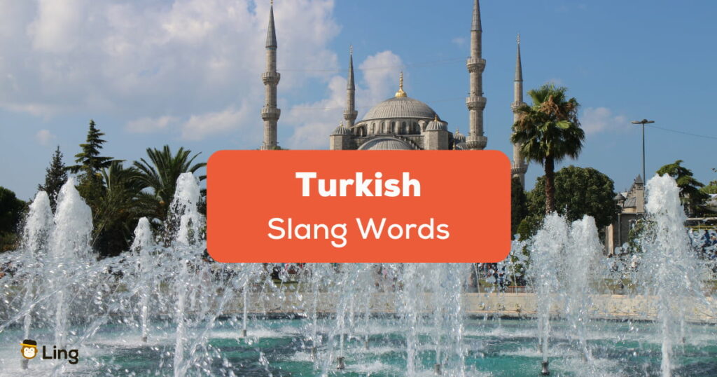 Turkish Slang Words