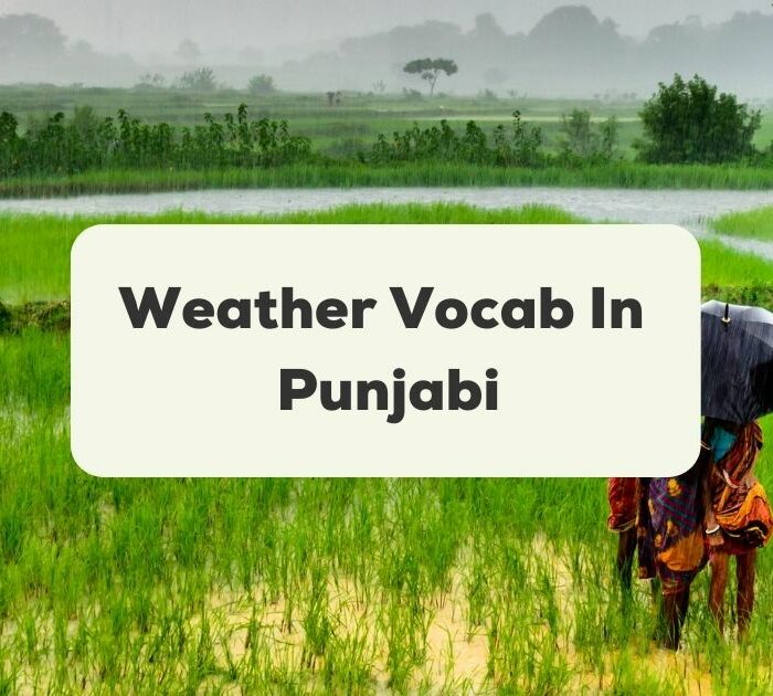 Weather Vocab In Punjabi_ling app_learn nepali1