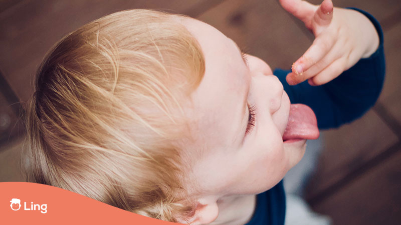 Baby tasting-five senses in spanish