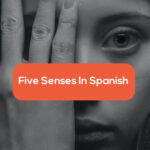 Girl covering her face-five senses in spanish