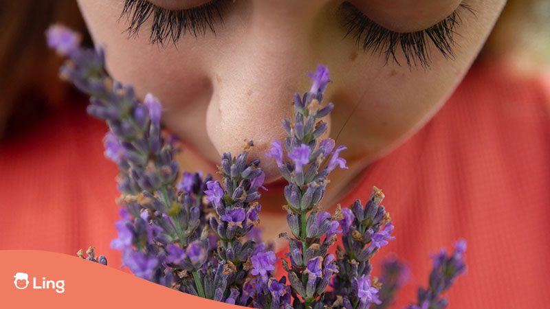 girl-smelling-flowers-five senses
