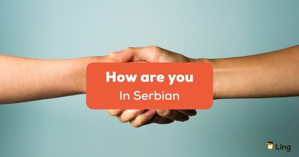 How are you in serbian